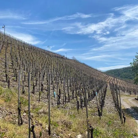 Wein Und Gastehaus Marlene Pohl Vendégház Kinheim