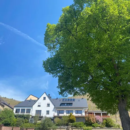 Wein Und Gastehaus Marlene Pohl * Kinheim